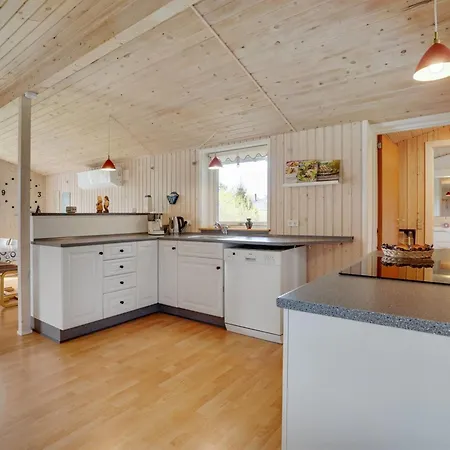 Hope - 350m To The Fjord By Interhome Skjern